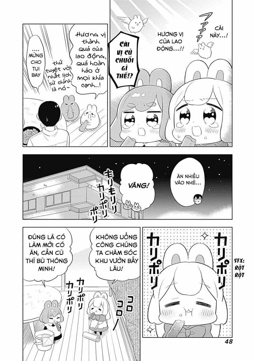 Những Bé Thỏ Nô Lệ - Chương 33 - ảnh 7