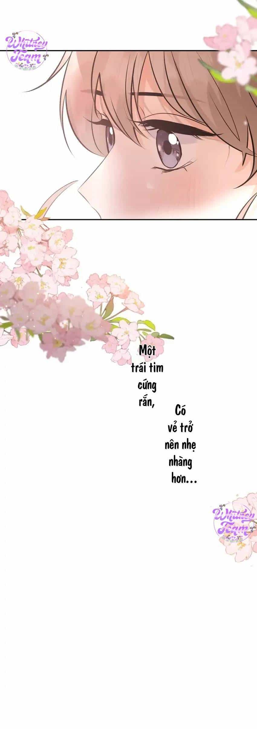 Những Ngày Thanh Xuân Của Tôi - Chương 9 - ảnh 37