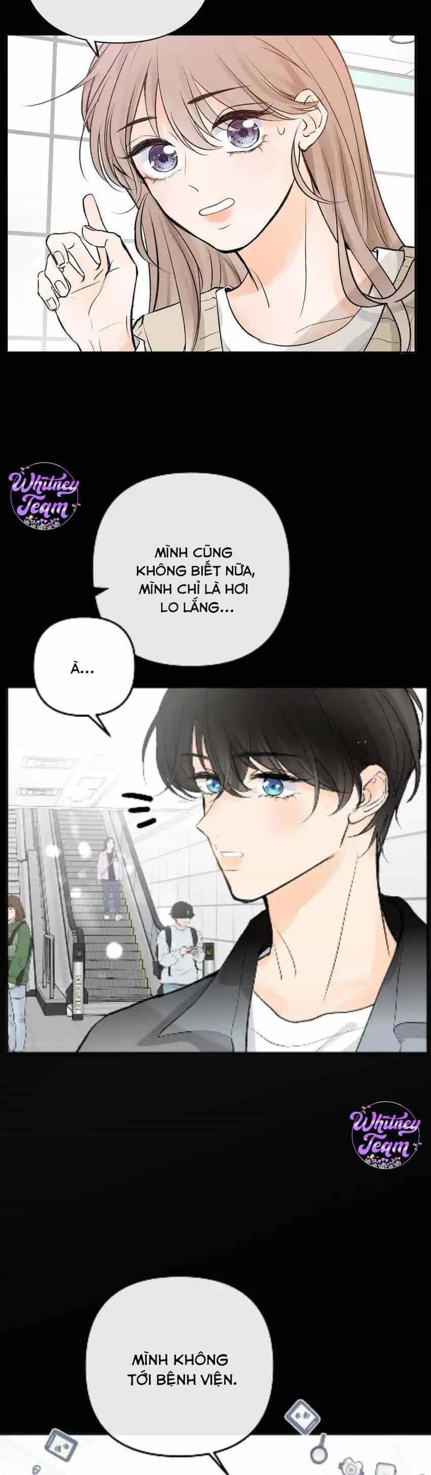 Những Ngày Thanh Xuân Của Tôi - Chương 10 - ảnh 5