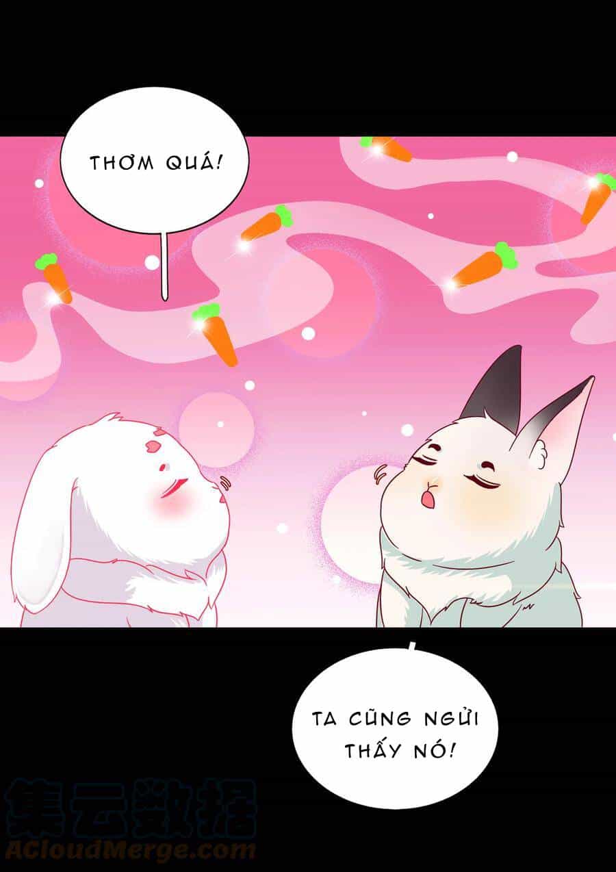 Những Tháng Ngày Bị Thiên Địch Nuôi Dưỡng - Chương 26 - ảnh 19