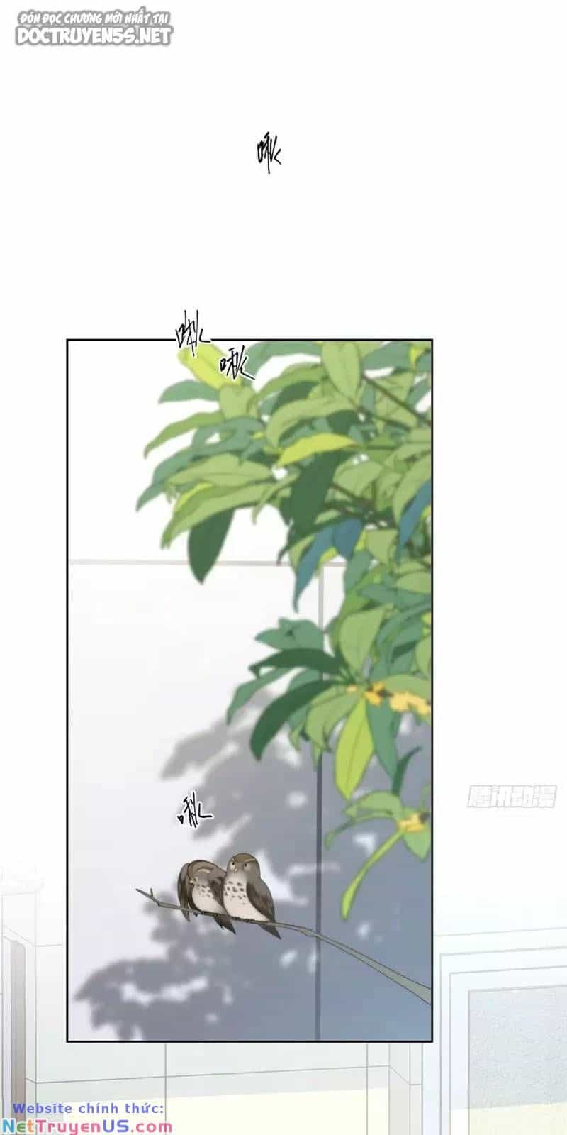 Nữ Chính Từ Trong Sách Chạy Ra Ngoài Rồi Phải Làm Sao Đây - Chương 9 - ảnh 4