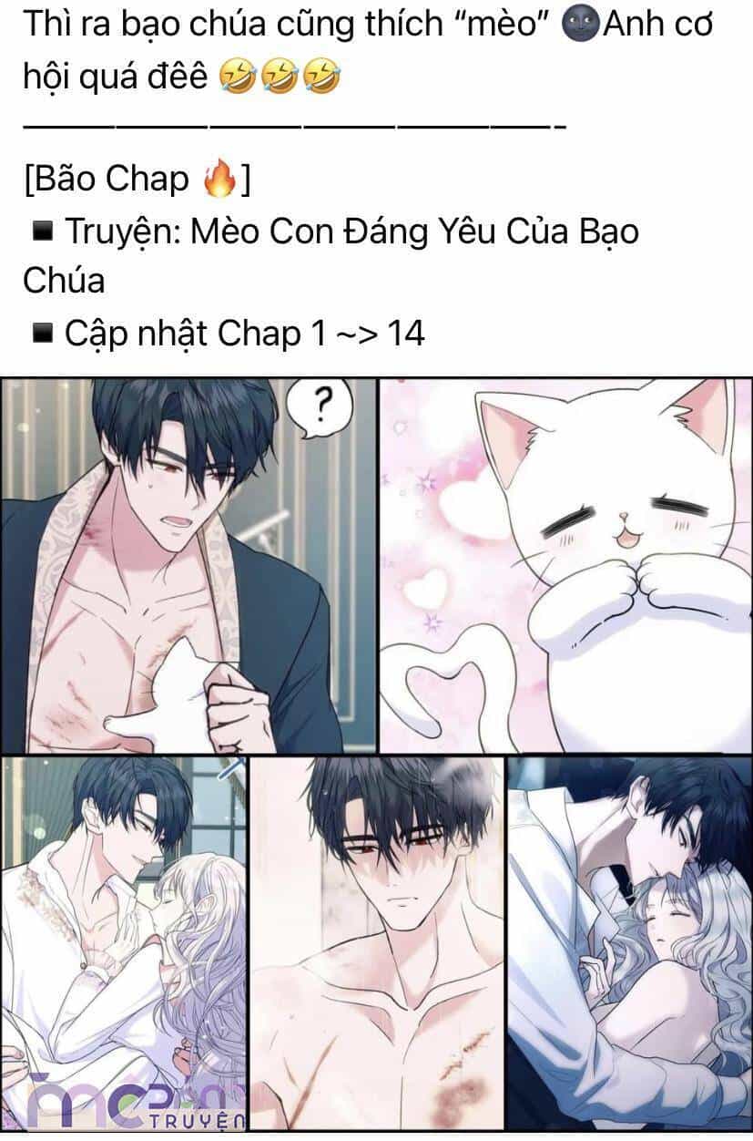 Nữ Phụ Không Muốn Nam Nữ Chính Chia Tay - Chương 28 - ảnh 6