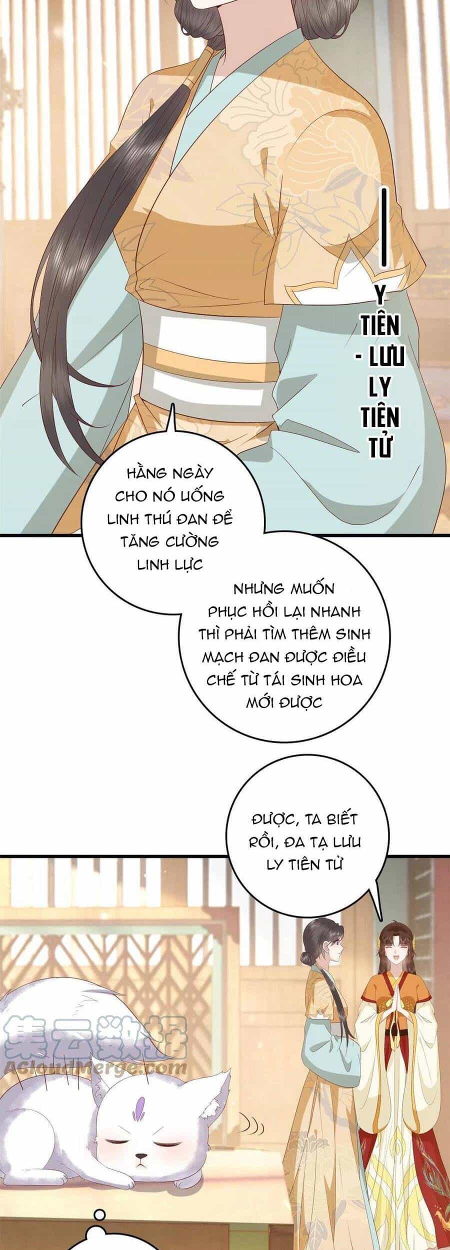 Nữ Phụ Không Thể Chọc Giận - Chương 88 - ảnh 12