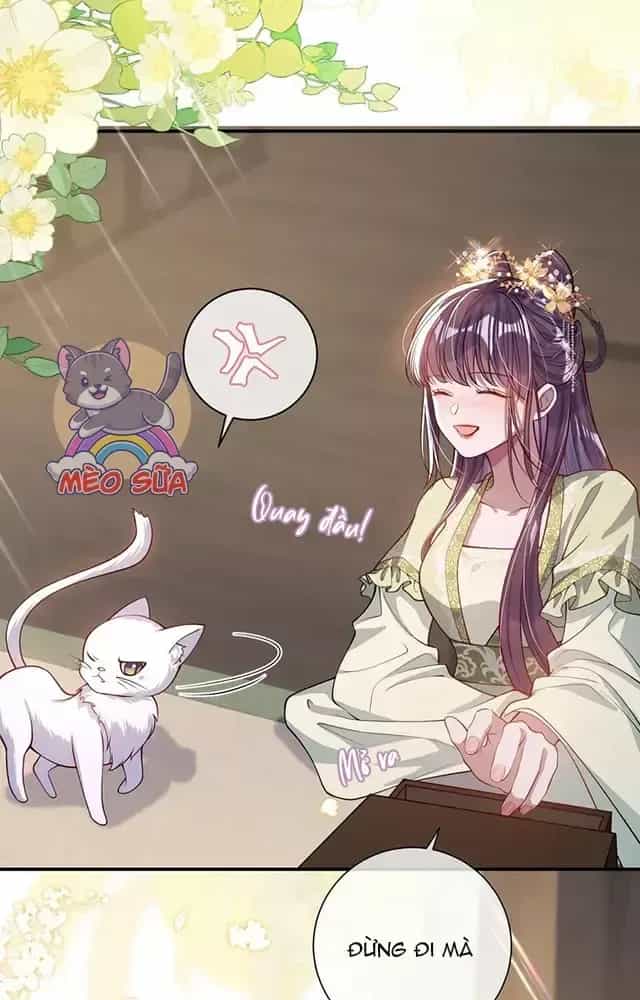 Nuông Chiều Mỹ Nhân Cuồng Nhiệt - Chương 17 - ảnh 10