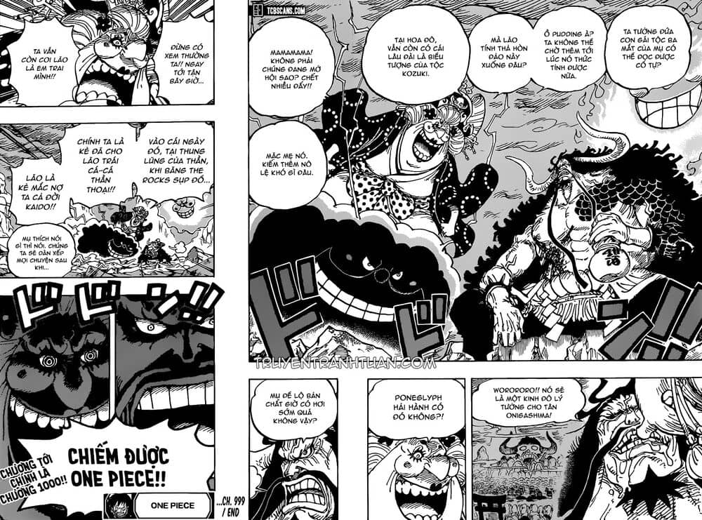 One Piece - Chương 999 - ảnh 17