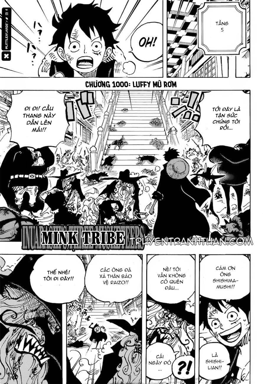 One Piece - Chương 1000 - ảnh 1