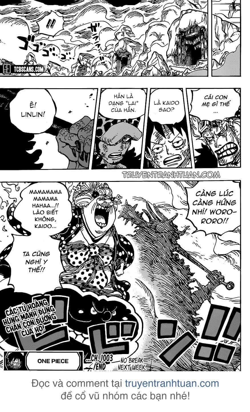One Piece - Chương 1003 - ảnh 13