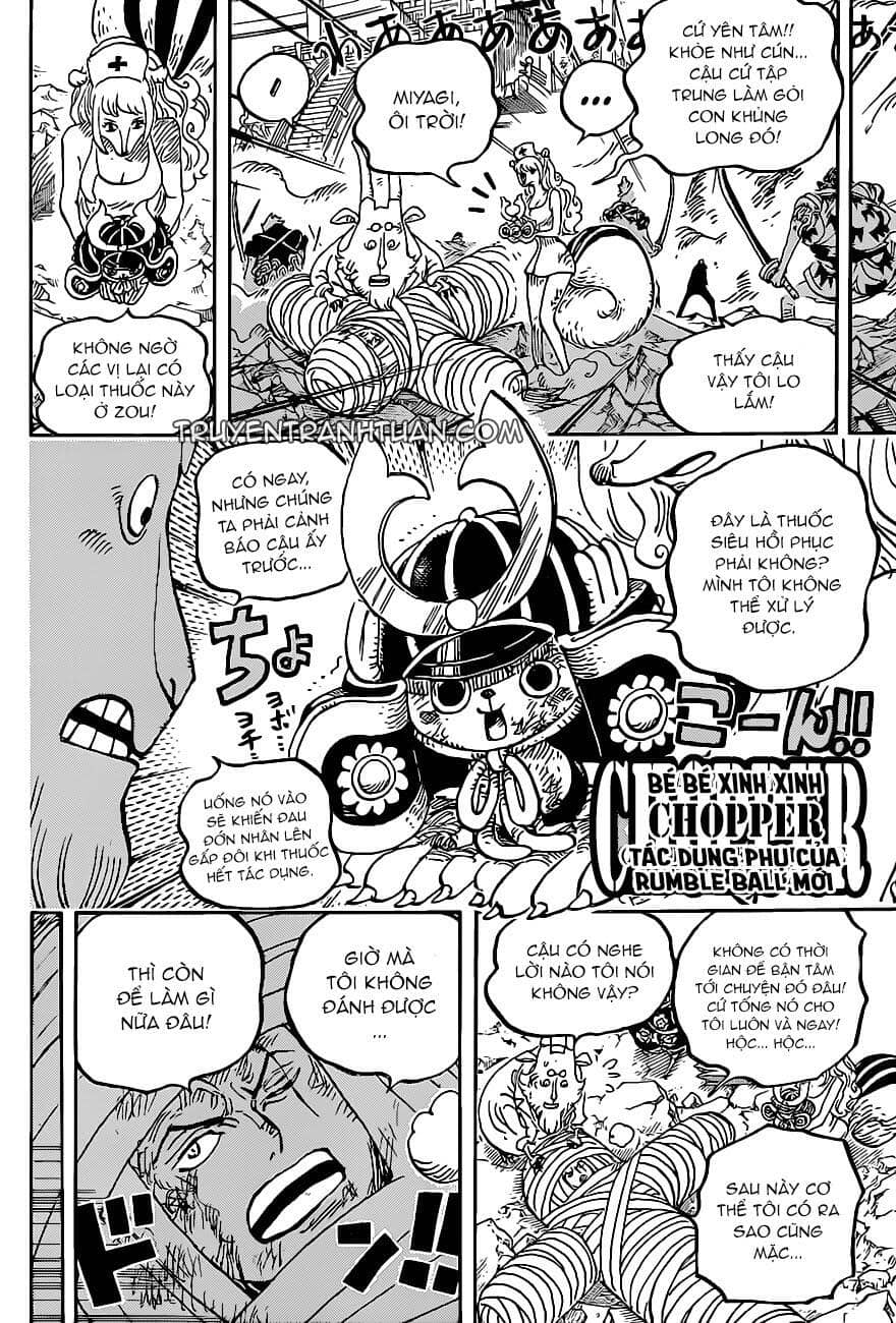 One Piece - Chương 1017 - ảnh 12