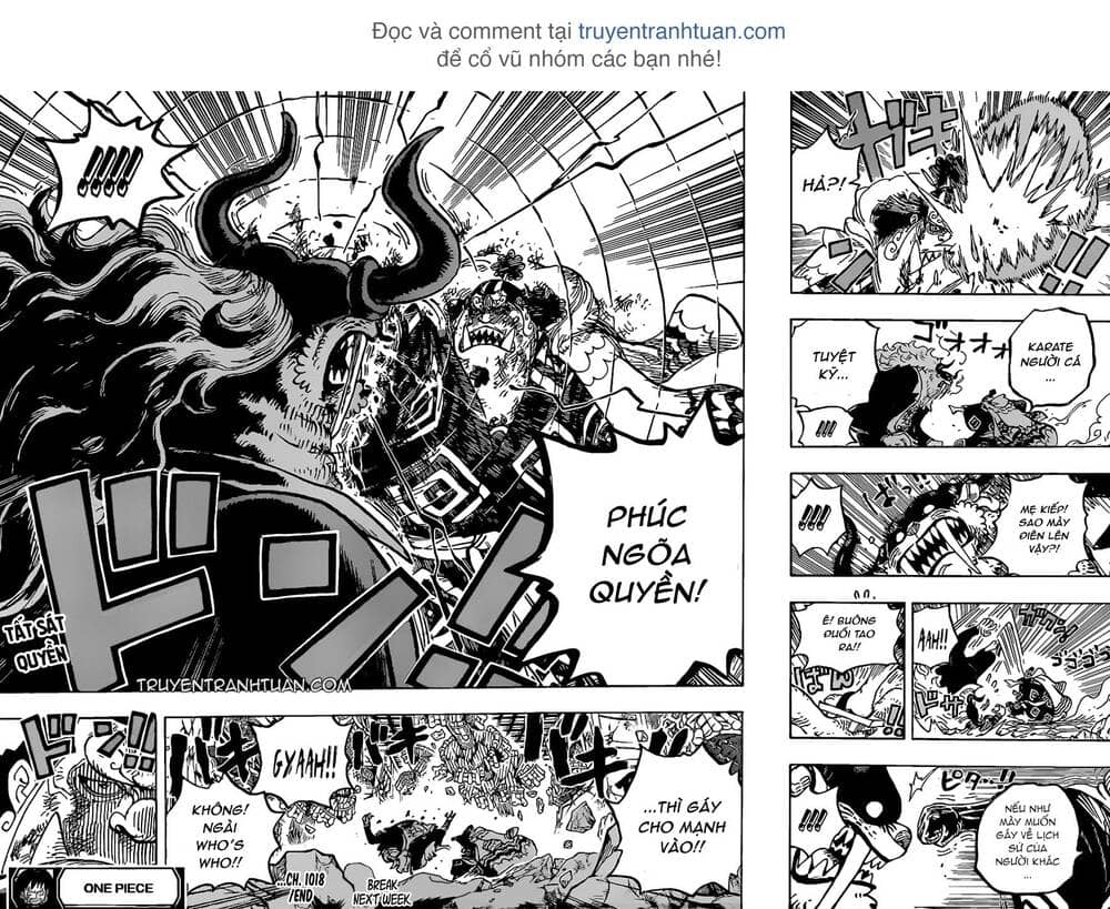 One Piece - Chương 1018 - ảnh 16