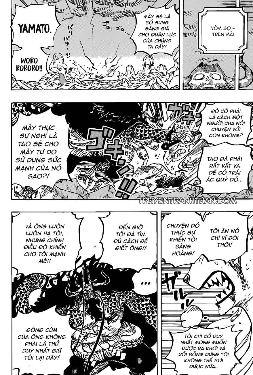 One Piece - Chương 1019 - ảnh 18