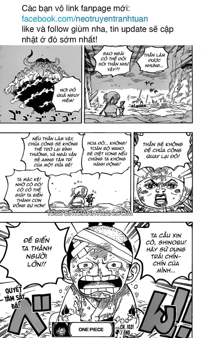 One Piece - Chương 1021 - ảnh 16