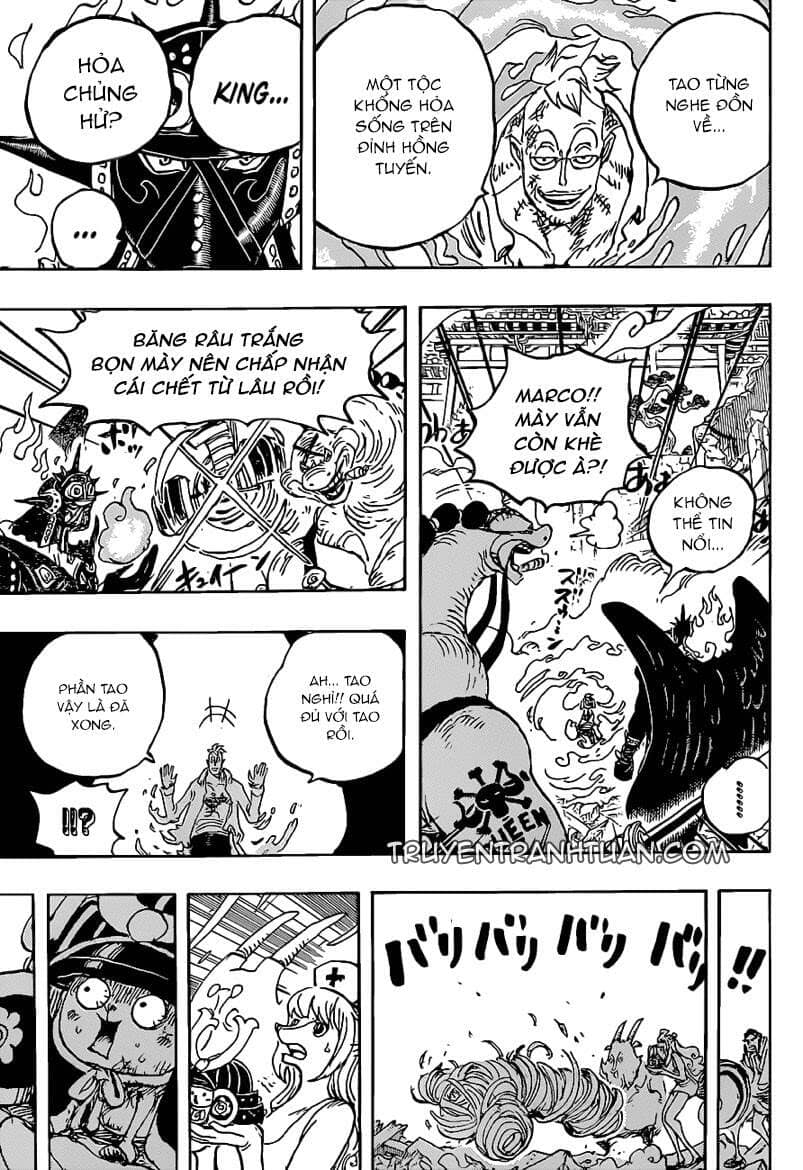 One Piece - Chương 1022 - ảnh 14