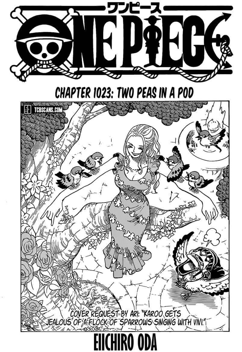One Piece - Chương 1023 - ảnh 2