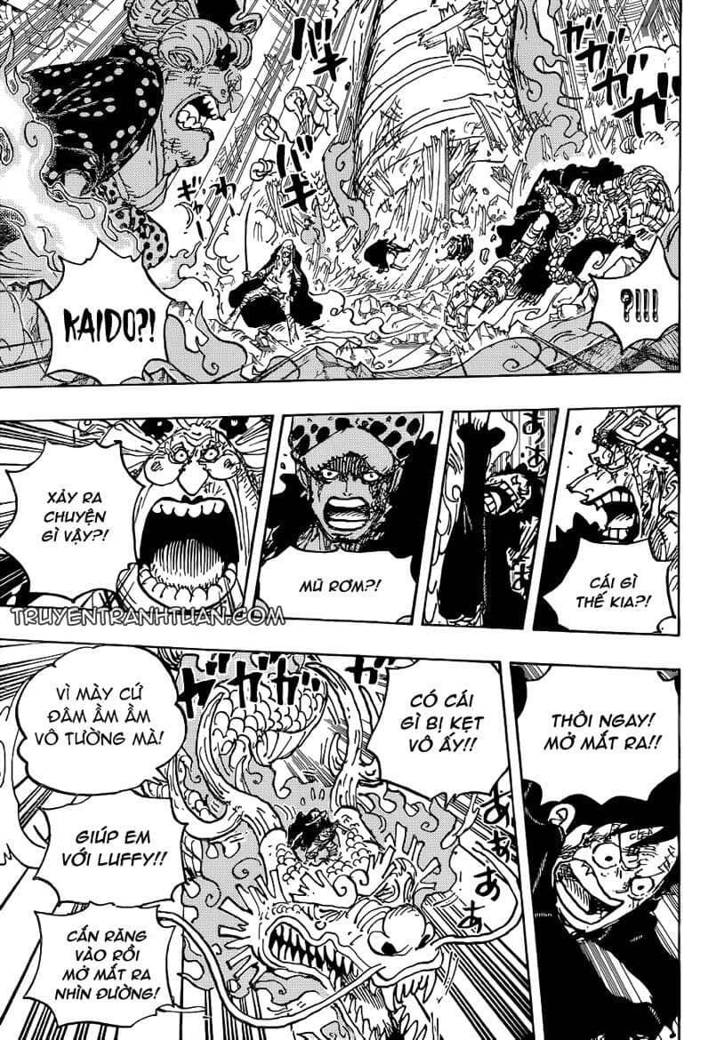 One Piece - Chương 1025 - ảnh 12
