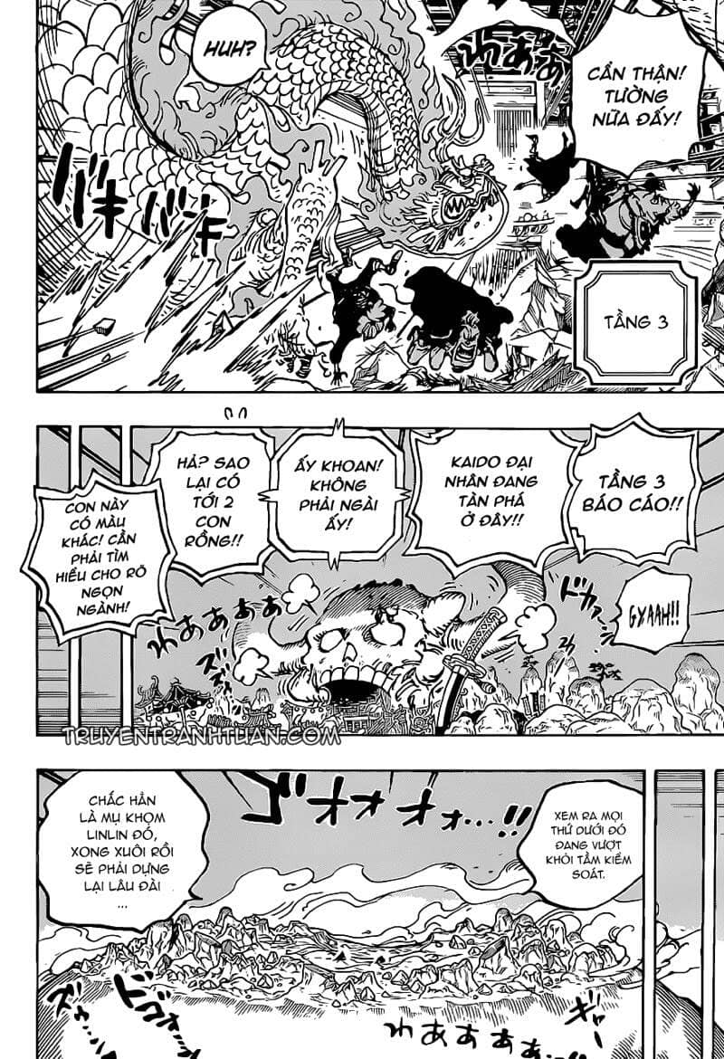 One Piece - Chương 1025 - ảnh 13