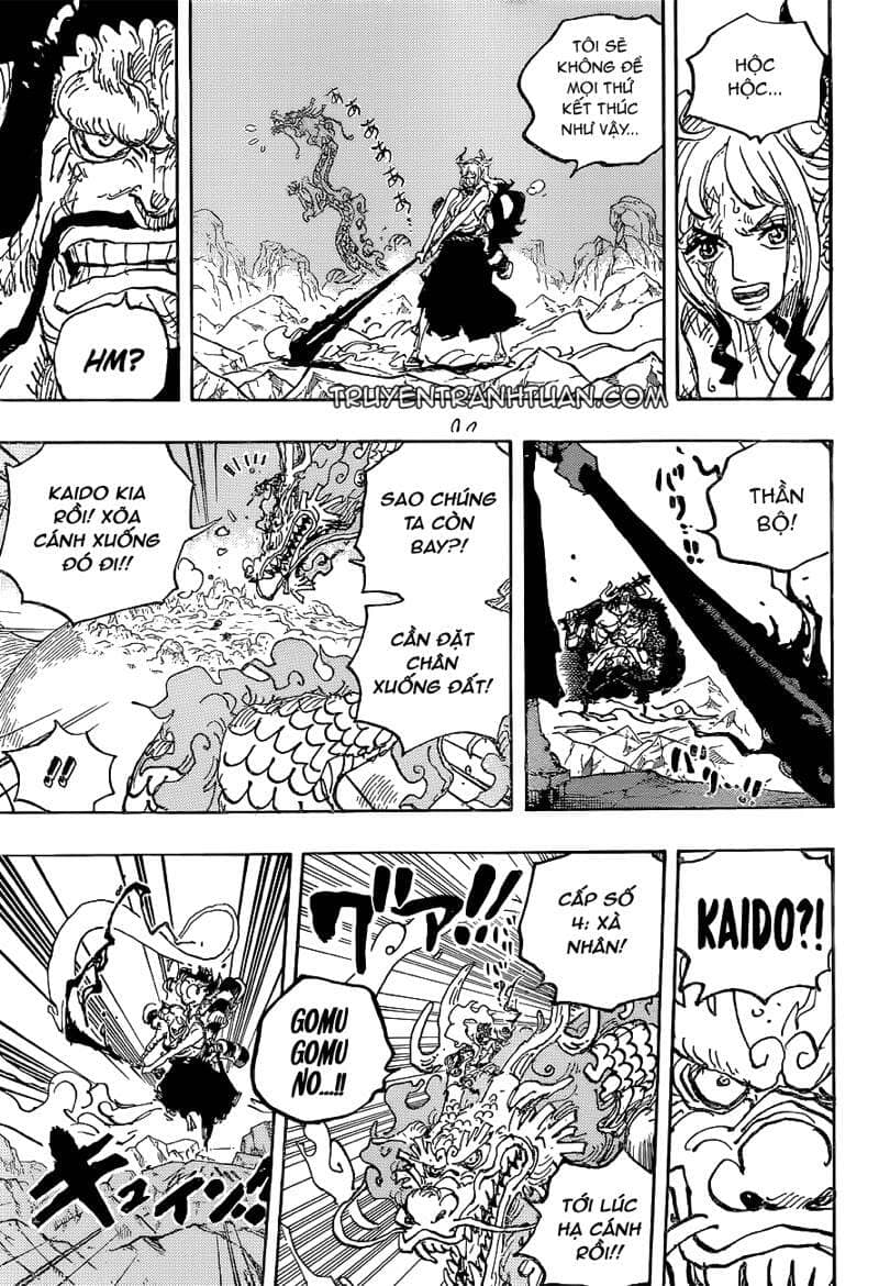 One Piece - Chương 1025 - ảnh 14