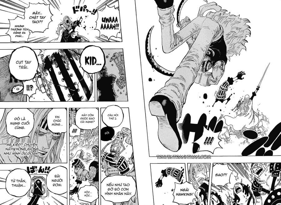 One Piece - Chương 1029 - ảnh 12