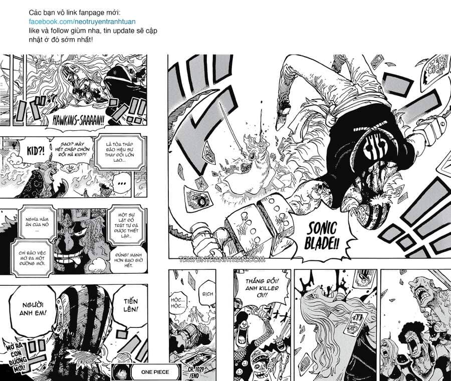 One Piece - Chương 1029 - ảnh 14