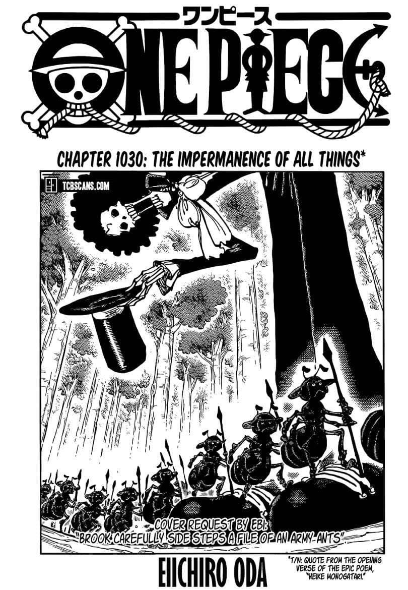 One Piece - Chương 1030 - ảnh 1