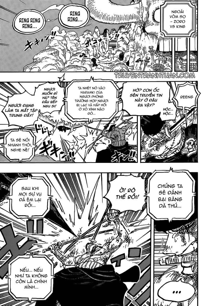 One Piece - Chương 1031 - ảnh 16