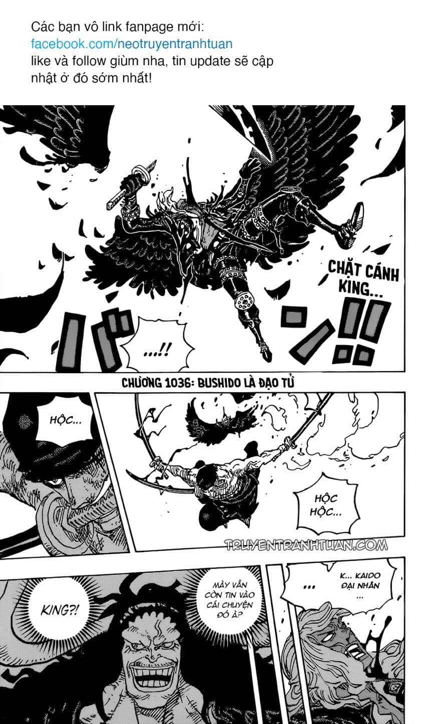 One Piece - Chương 1036 - ảnh 2