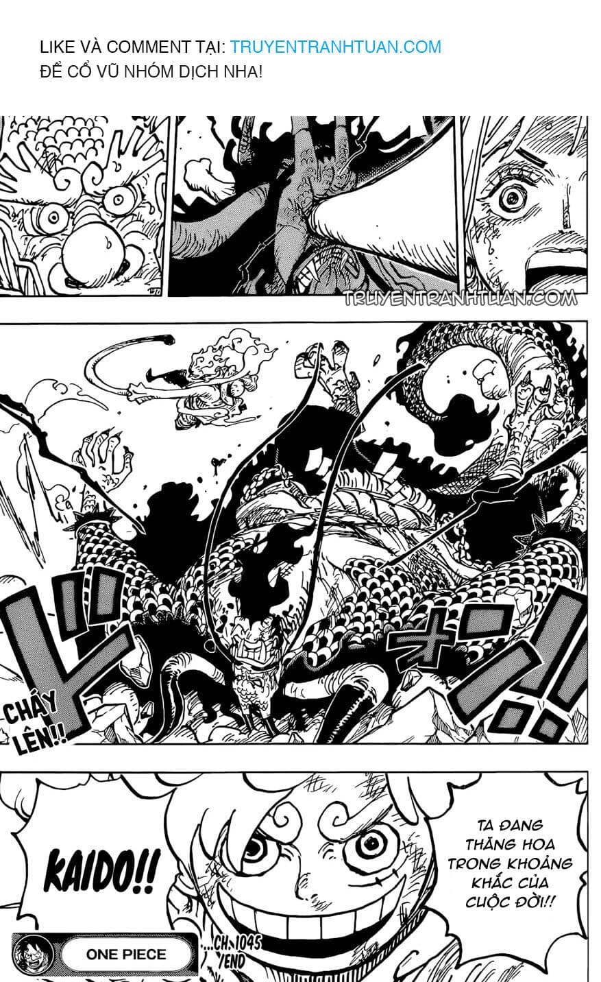 One Piece - Chương 1045 - ảnh 17