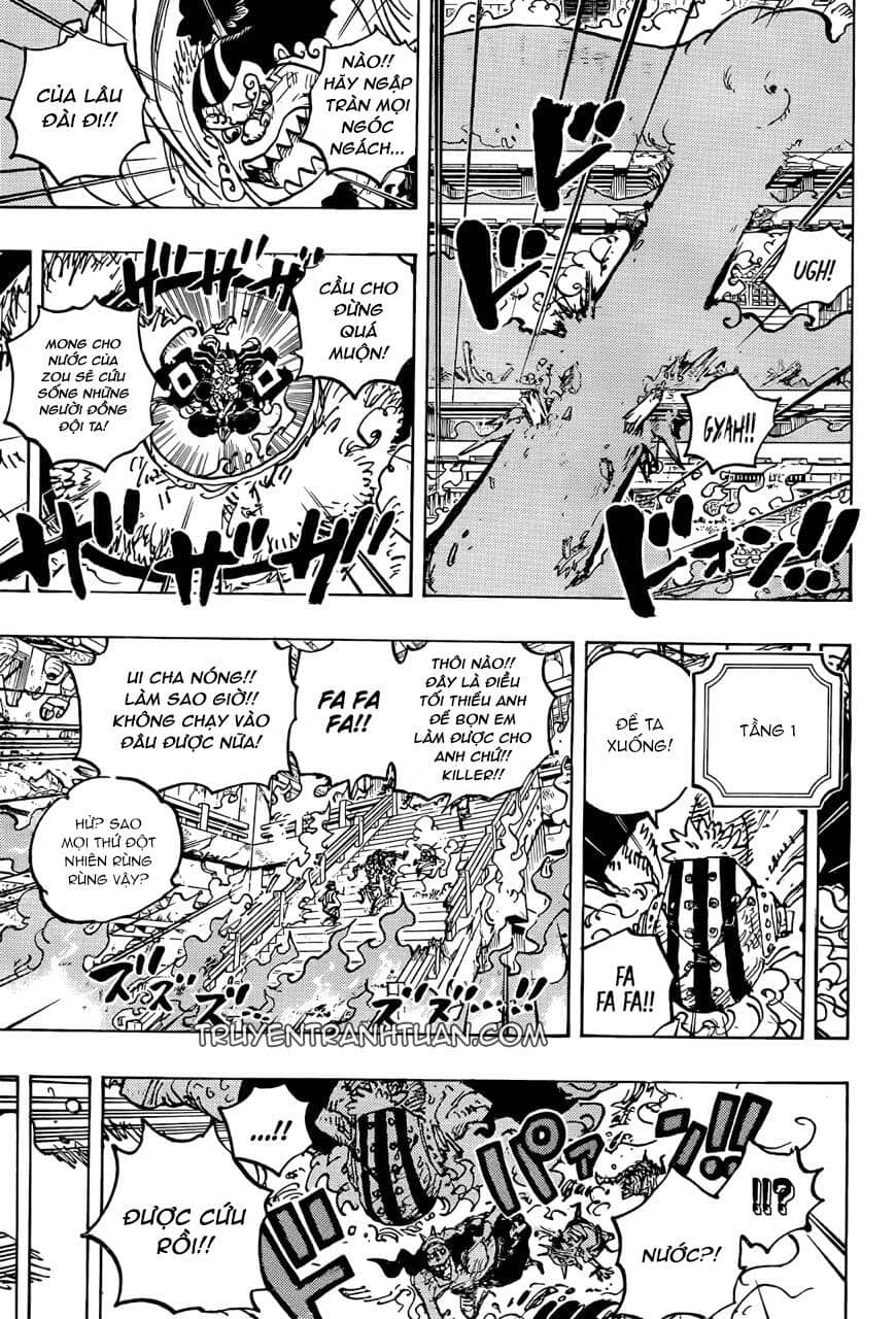 One Piece - Chương 1046 - ảnh 13