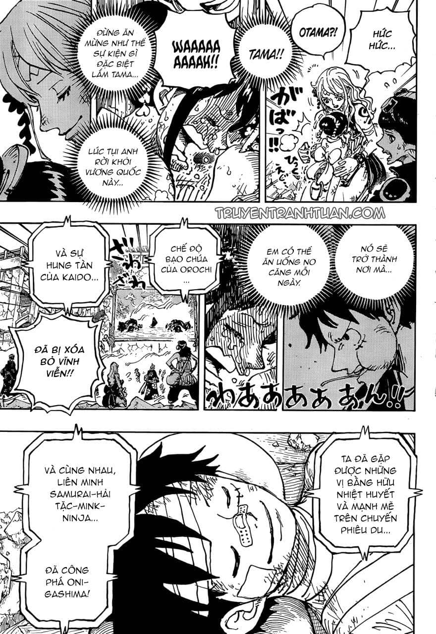 One Piece - Chương 1051 - ảnh 11
