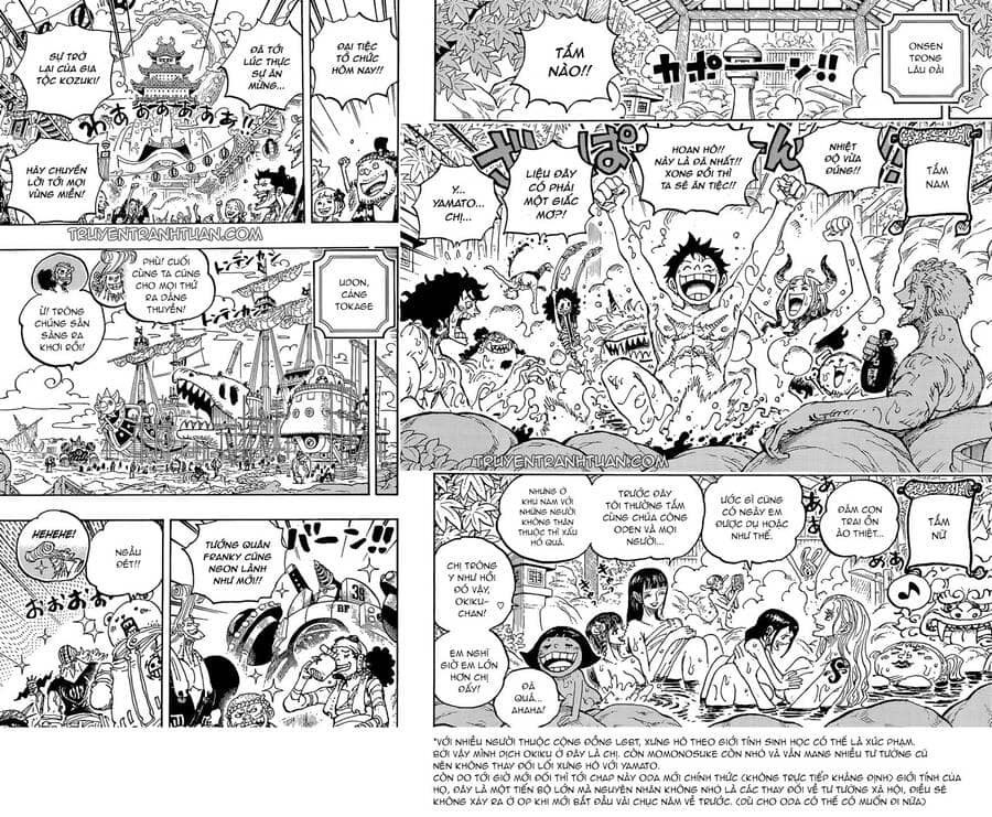 One Piece - Chương 1052 - ảnh 13