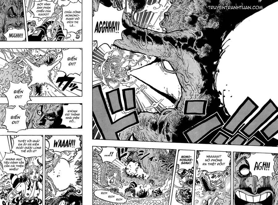 One Piece - Chương 1055 - ảnh 14