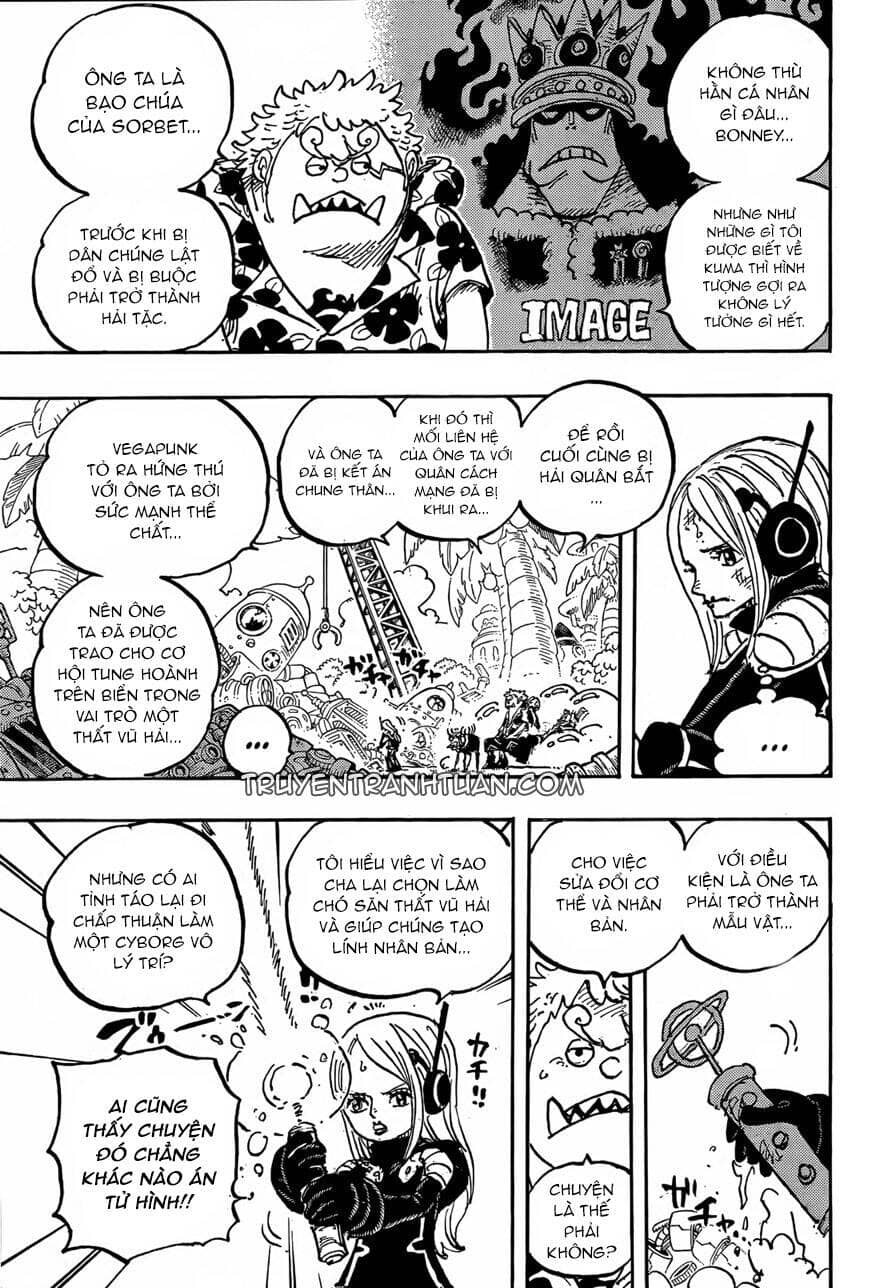 One Piece - Chương 1064 - ảnh 10