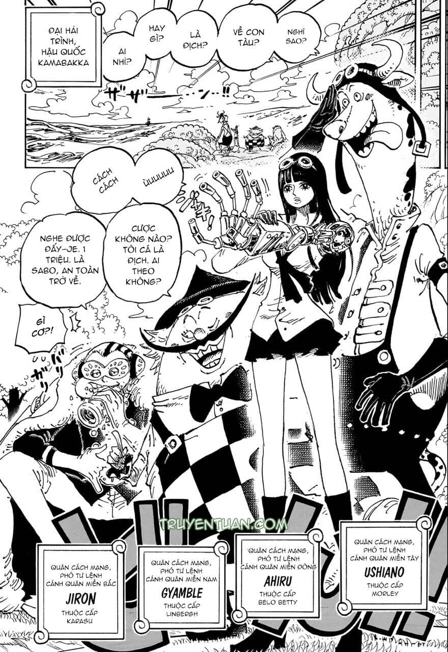 One Piece - Chương 1082 - ảnh 11