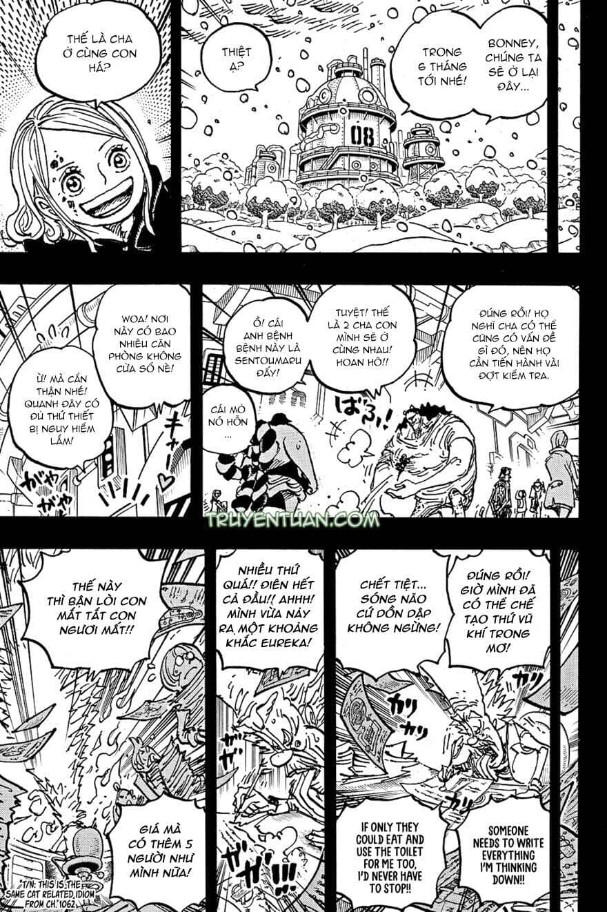 One Piece - Chương 1100 - ảnh 10