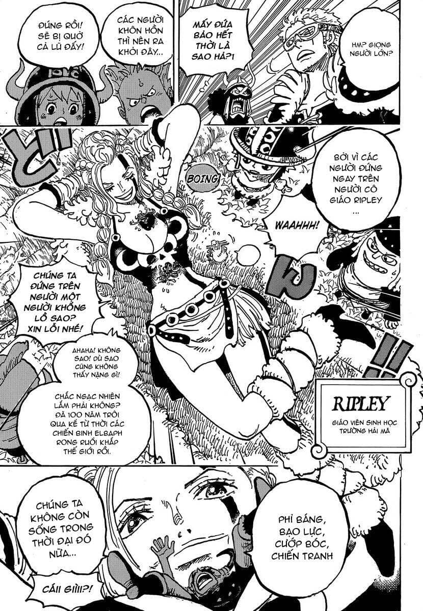 One Piece - Chương 1134 - ảnh 9