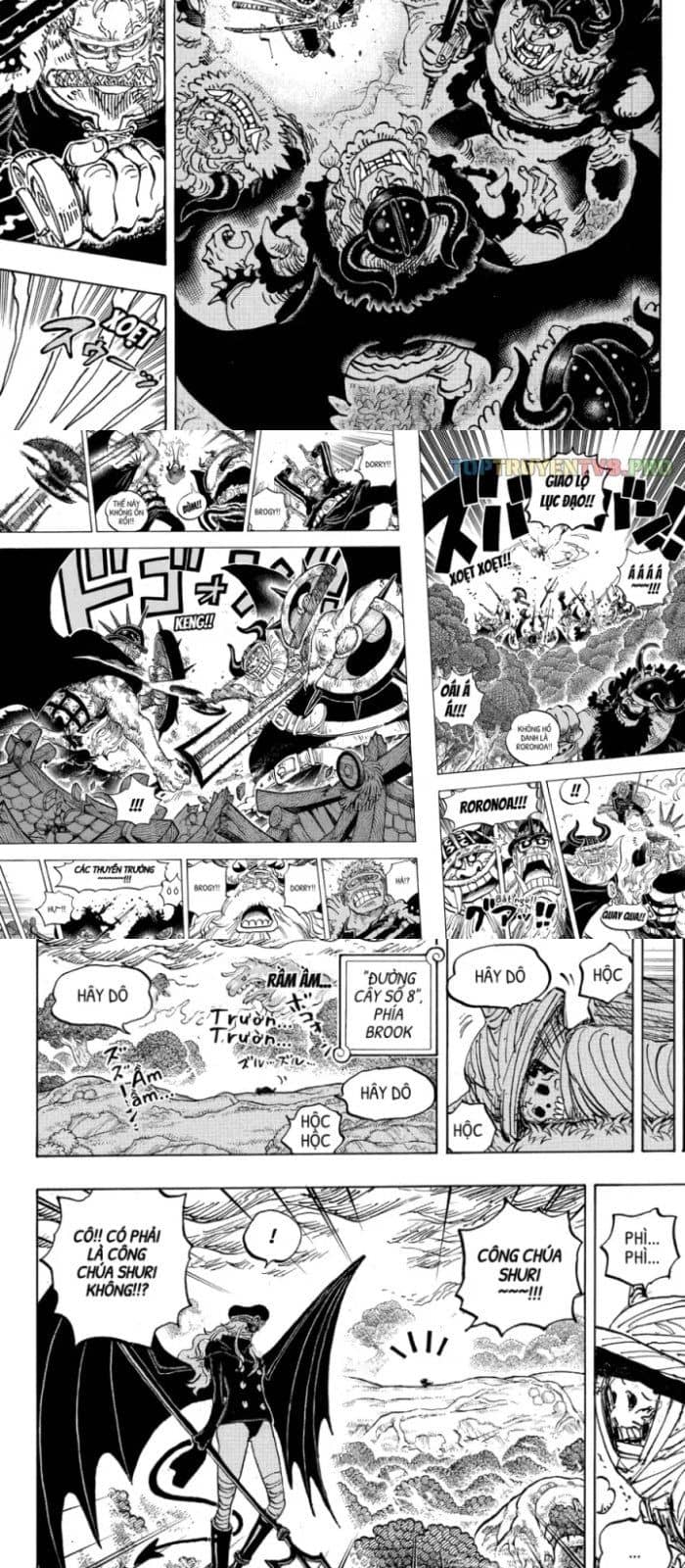 One Piece - Chương 1173.5 - ảnh 3