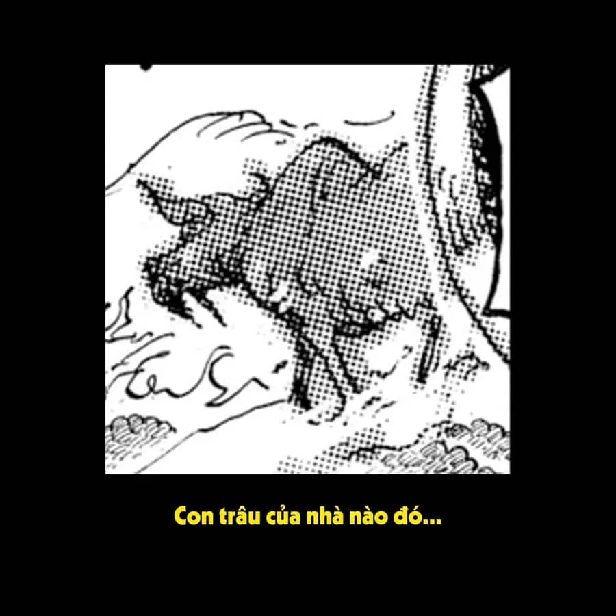 One Piece - Chương 1175.1 - ảnh 6