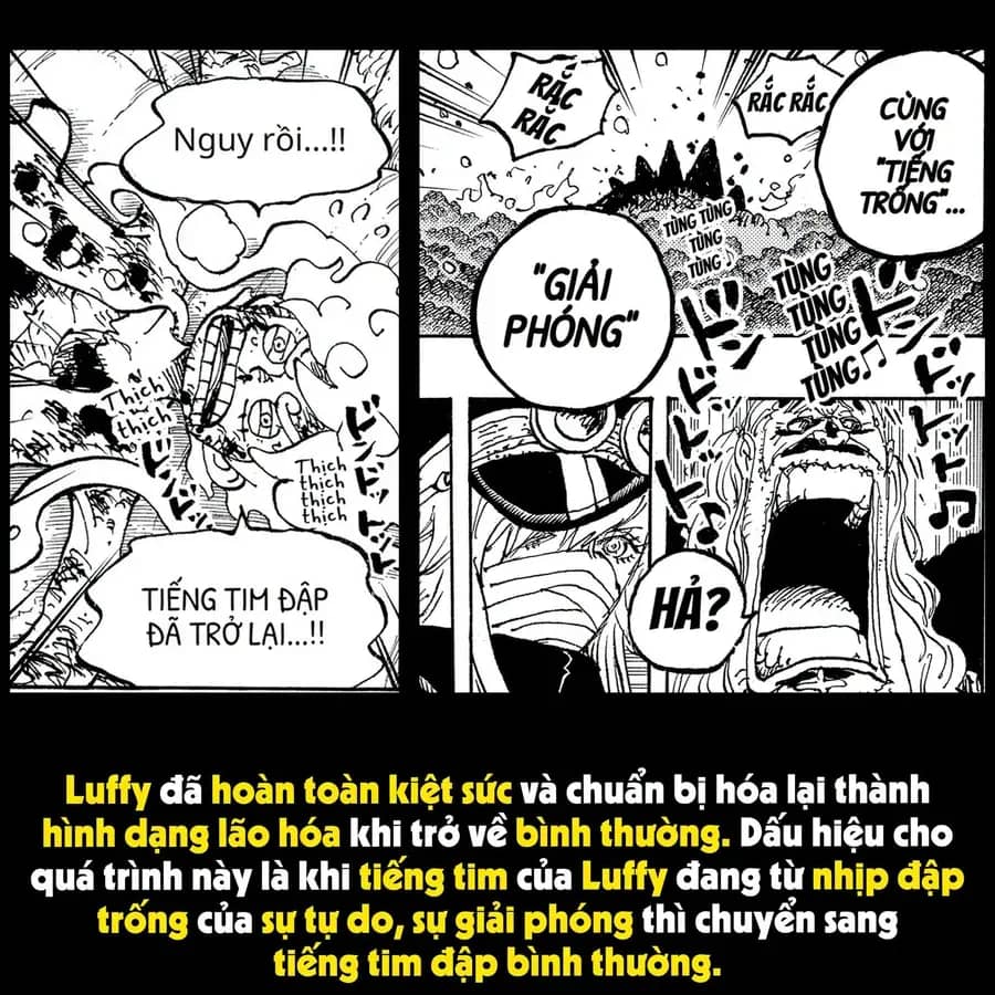 One Piece - Chương 1193.1 - ảnh 13