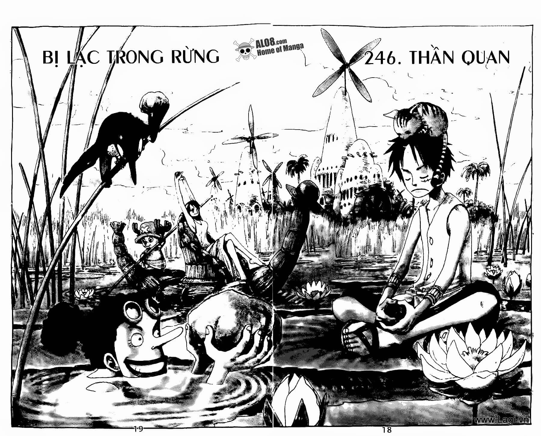 One Piece - Chương 246 - ảnh 1