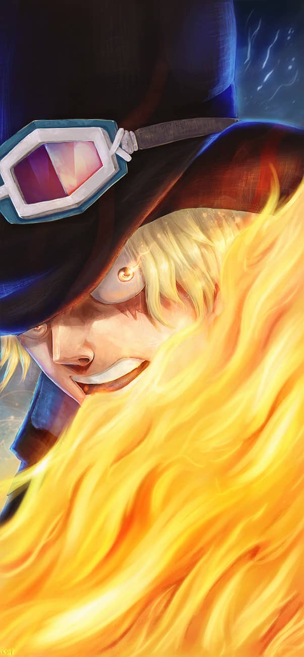 One Piece - Chương 794 - ảnh 17