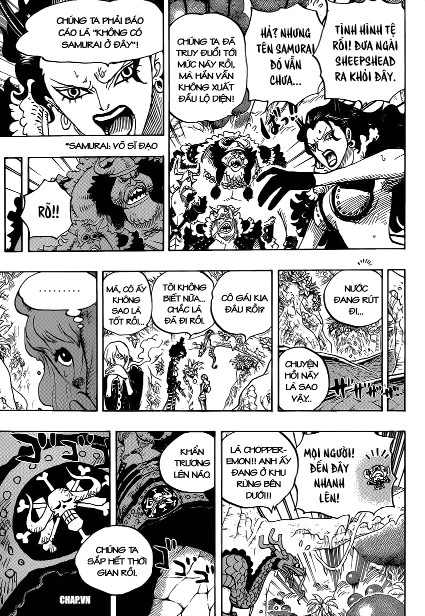 One Piece - Chương 795 - ảnh 9
