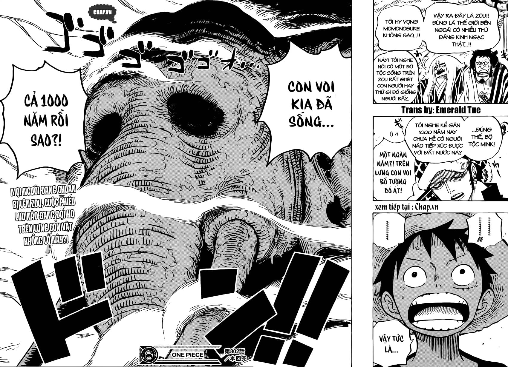 One Piece - Chương 802 - ảnh 15