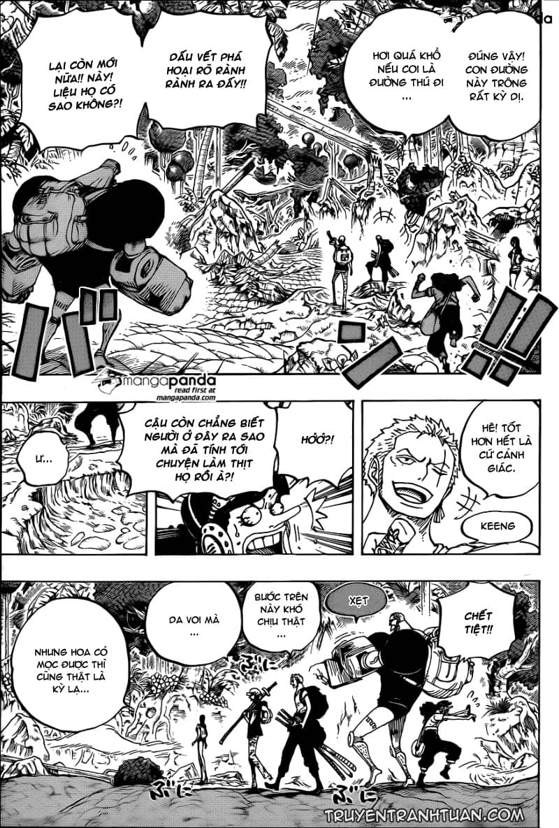 One Piece - Chương 804 - ảnh 12