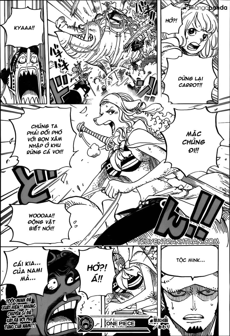 One Piece - Chương 804 - ảnh 16