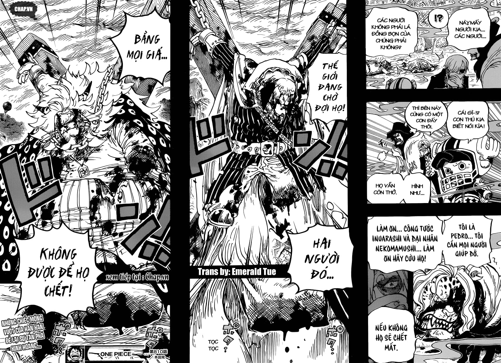 One Piece - Chương 810 - ảnh 16