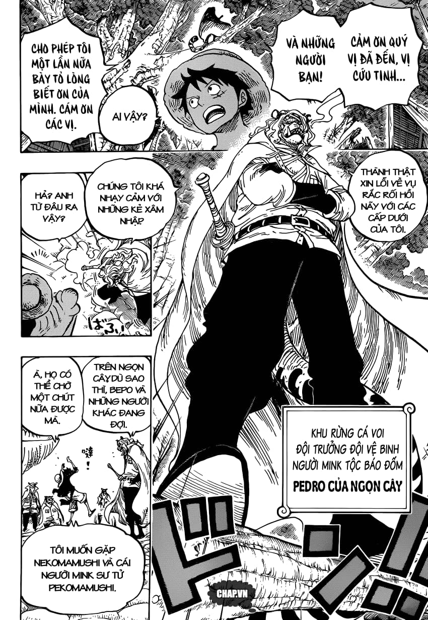 One Piece - Chương 814 - ảnh 11
