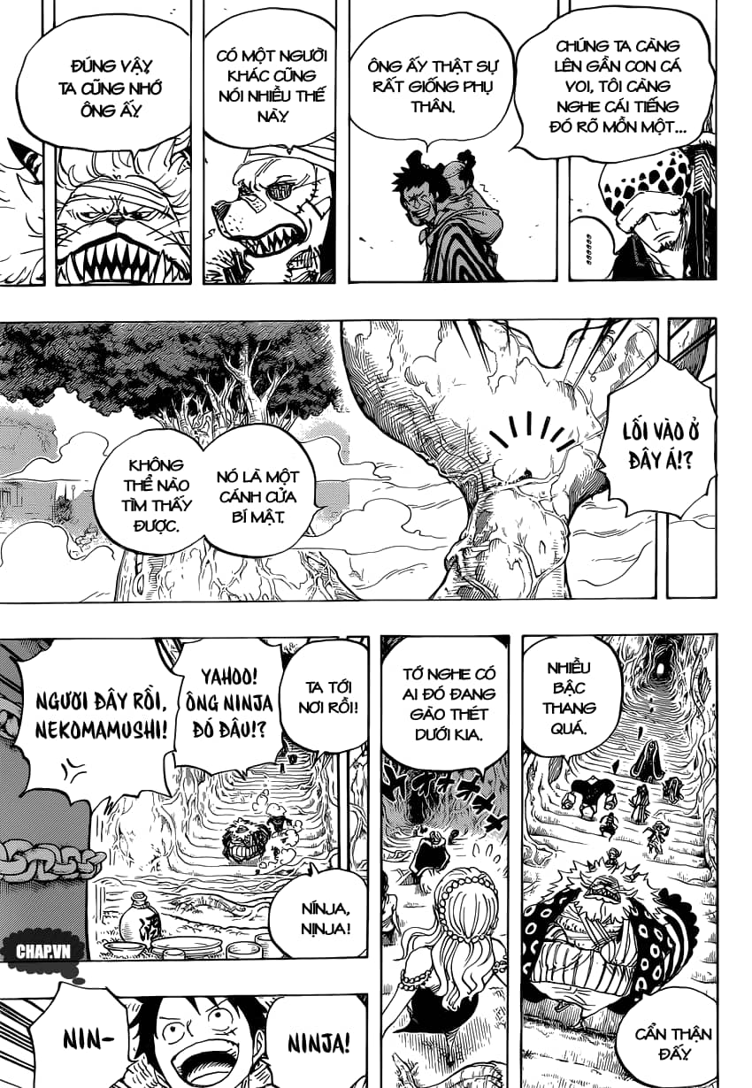 One Piece - Chương 817 - ảnh 13