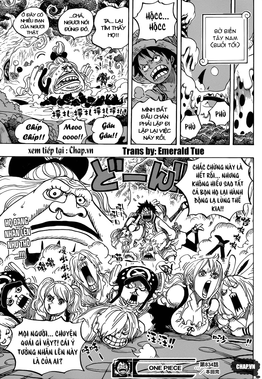 One Piece - Chương 834 - ảnh 17