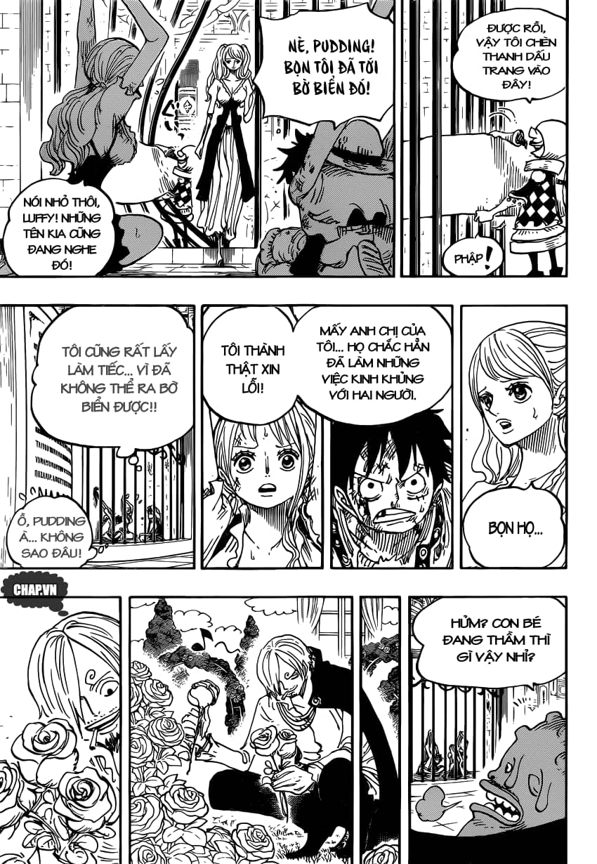 One Piece - Chương 848 - ảnh 16