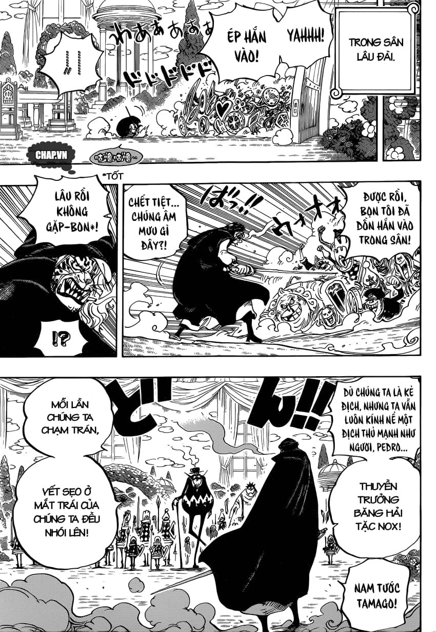 One Piece - Chương 849 - ảnh 16