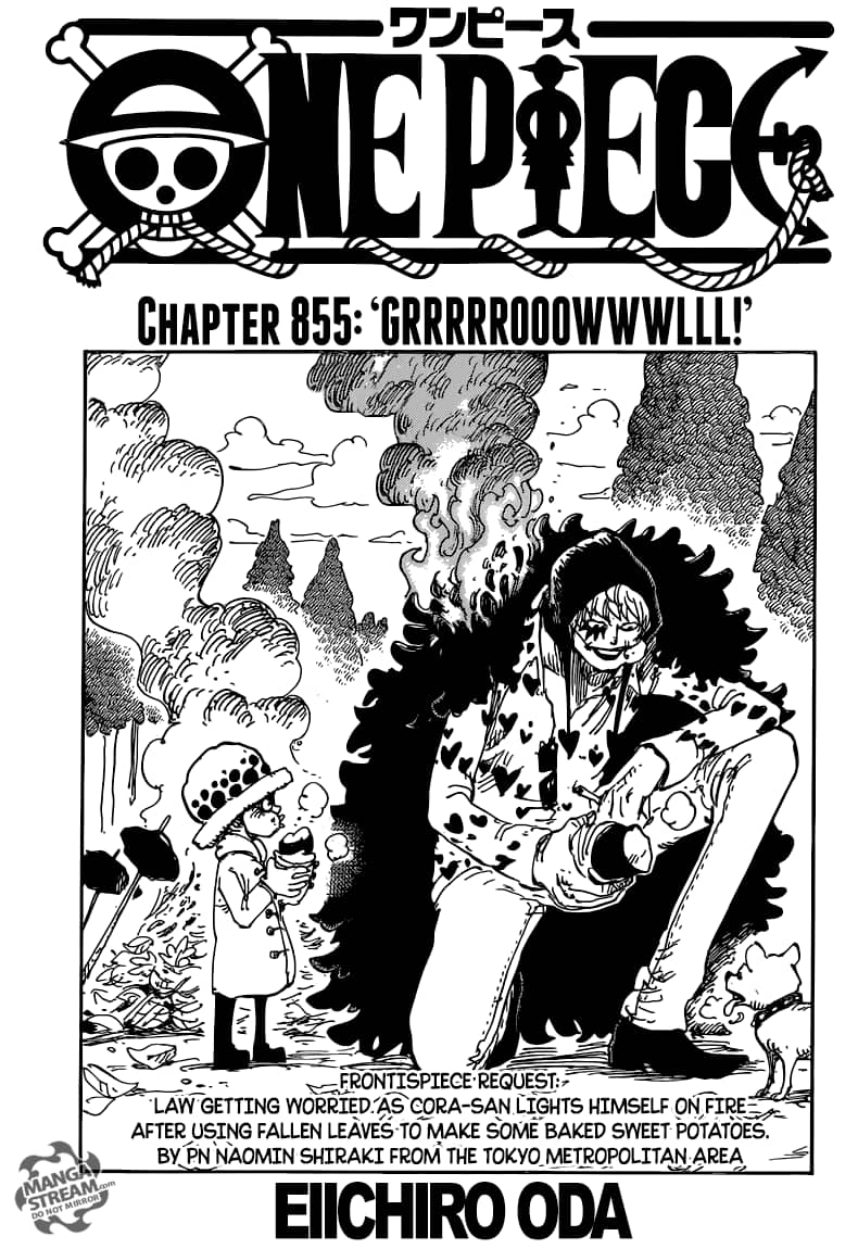 One Piece - Chương 855 - ảnh 1